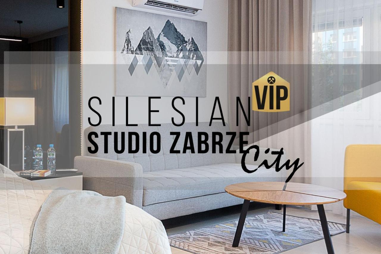Studio Silesian Vip City Centrum Free Parking Zabrze Extérieur photo